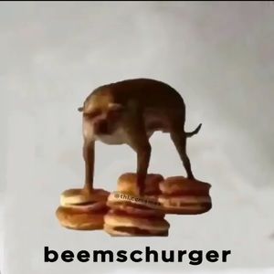 Meet your Posher, Eli